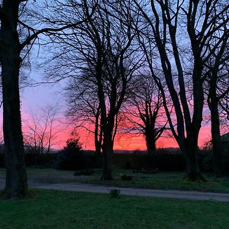 The Dalesbridge Lodge B&B Austwick Luaran gambar